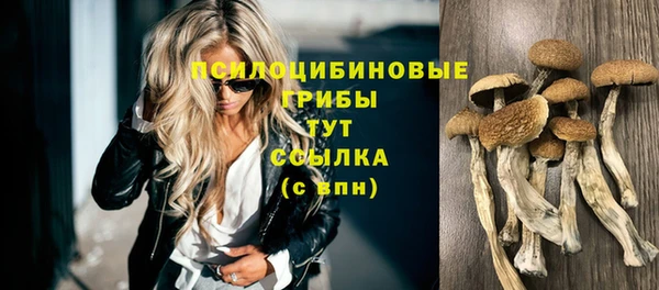 mdpv Абдулино